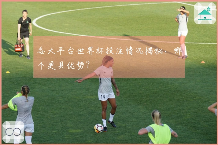 各大平台世界杯投注情况揭秘，哪个更具优势？