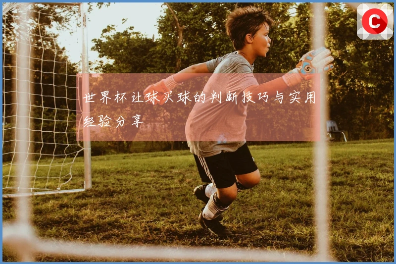 世界杯让球买球的判断技巧与实用经验分享