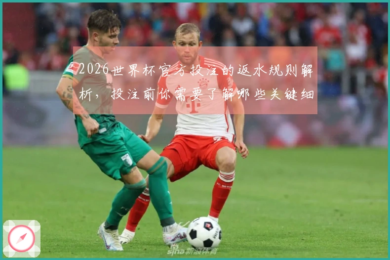 2026世界杯官方投注的返水规则解析，投注前你需要了解哪些关键细节？