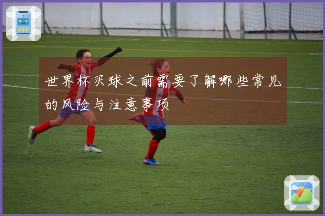 世界杯买球之前需要了解哪些常见的风险与注意事项