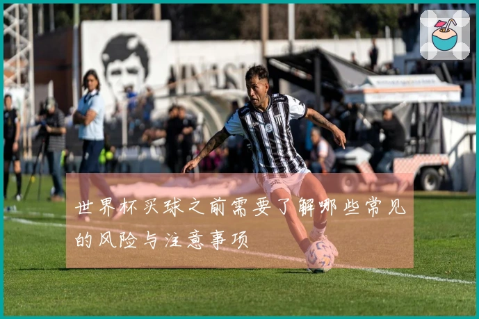 世界杯买球之前需要了解哪些常见的风险与注意事项