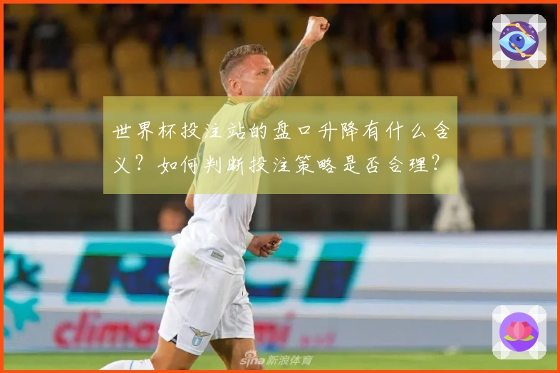 世界杯投注站的盘口升降有什么含义？如何判断投注策略是否合理？