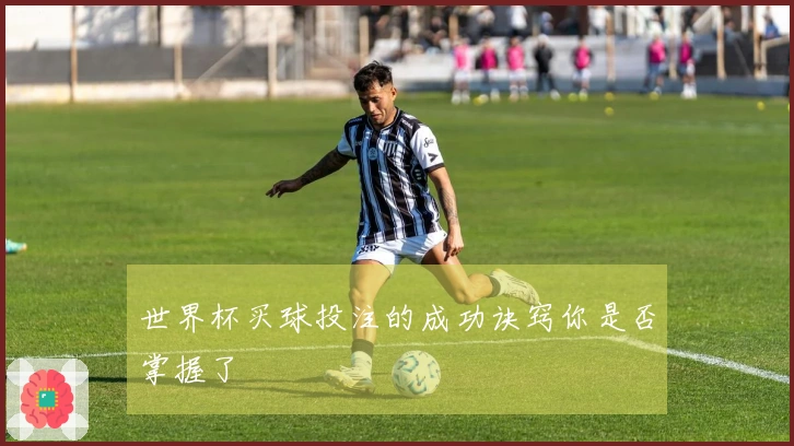 世界杯买球投注的成功诀窍你是否掌握了