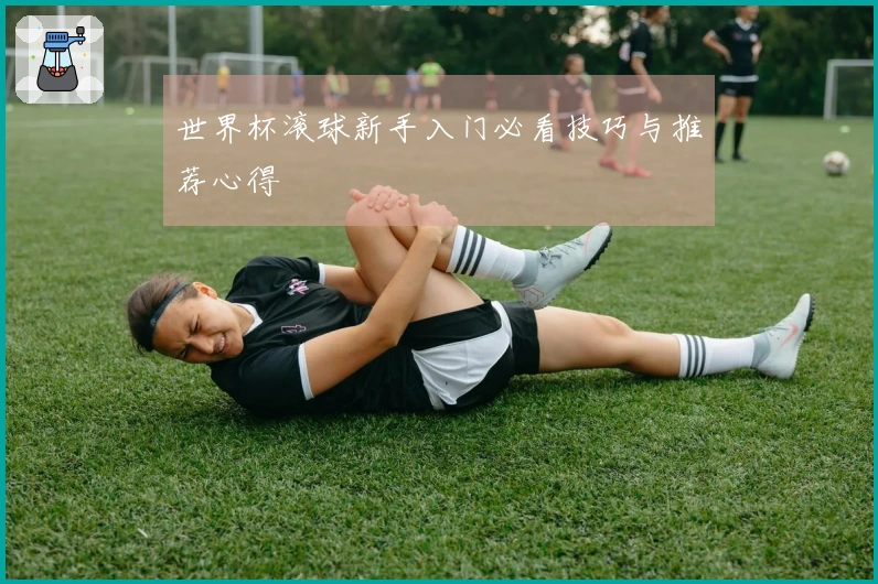 世界杯滚球新手入门必看技巧与推荐心得