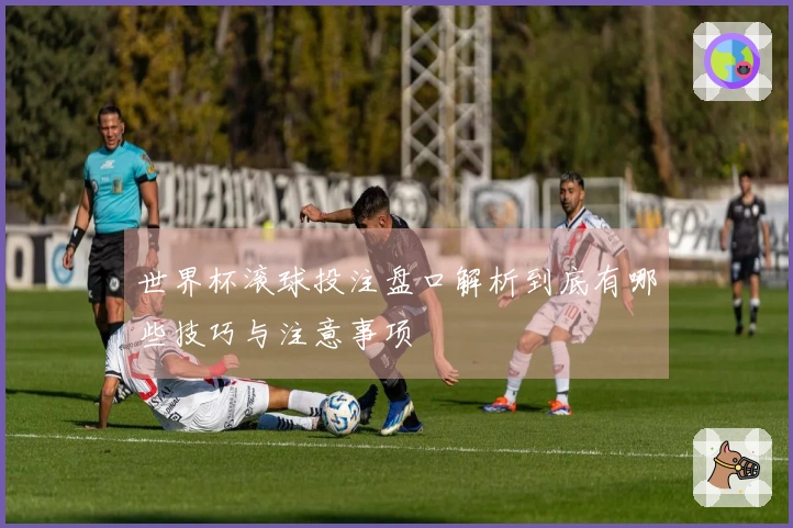 世界杯滚球投注盘口解析到底有哪些技巧与注意事项