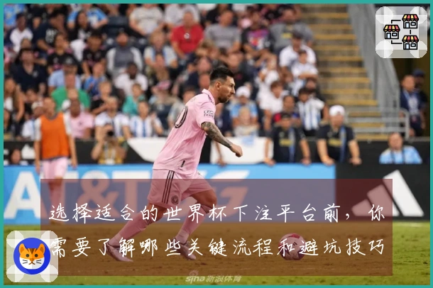 选择适合的世界杯下注平台前，你需要了解哪些关键流程和避坑技巧