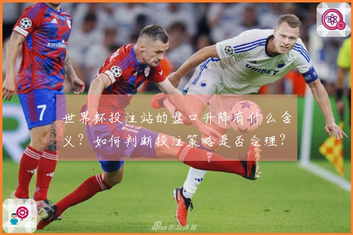 世界杯投注站的盘口升降有什么含义？如何判断投注策略是否合理？