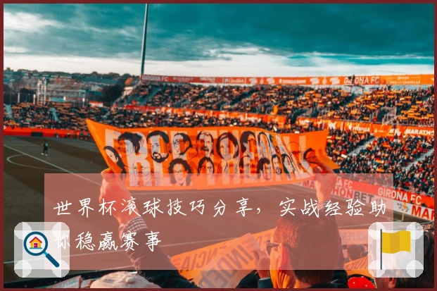 世界杯滚球技巧分享，实战经验助你稳赢赛事