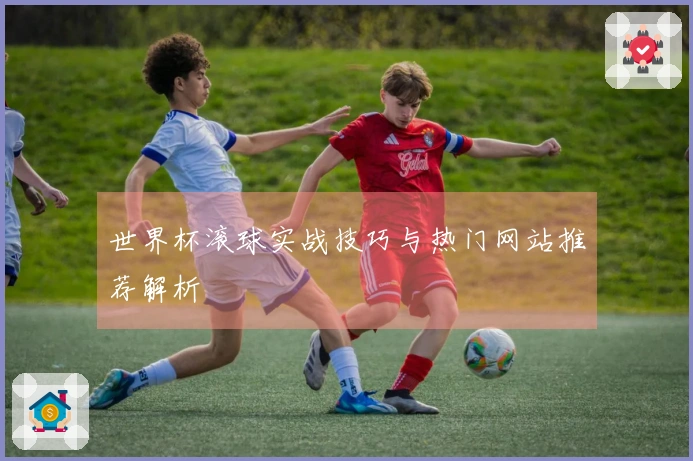世界杯滚球实战技巧与热门网站推荐解析
