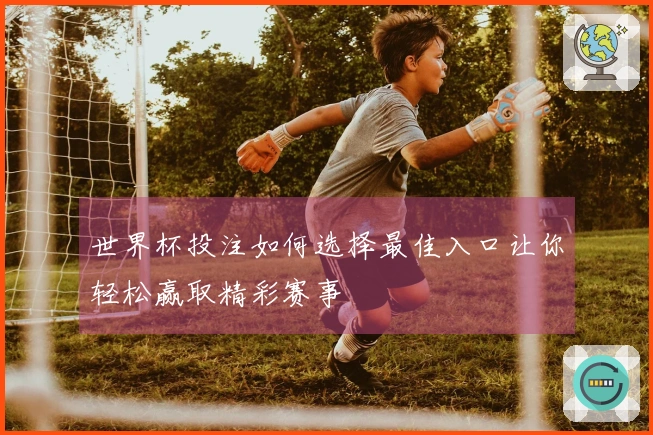 世界杯投注如何选择最佳入口让你轻松赢取精彩赛事